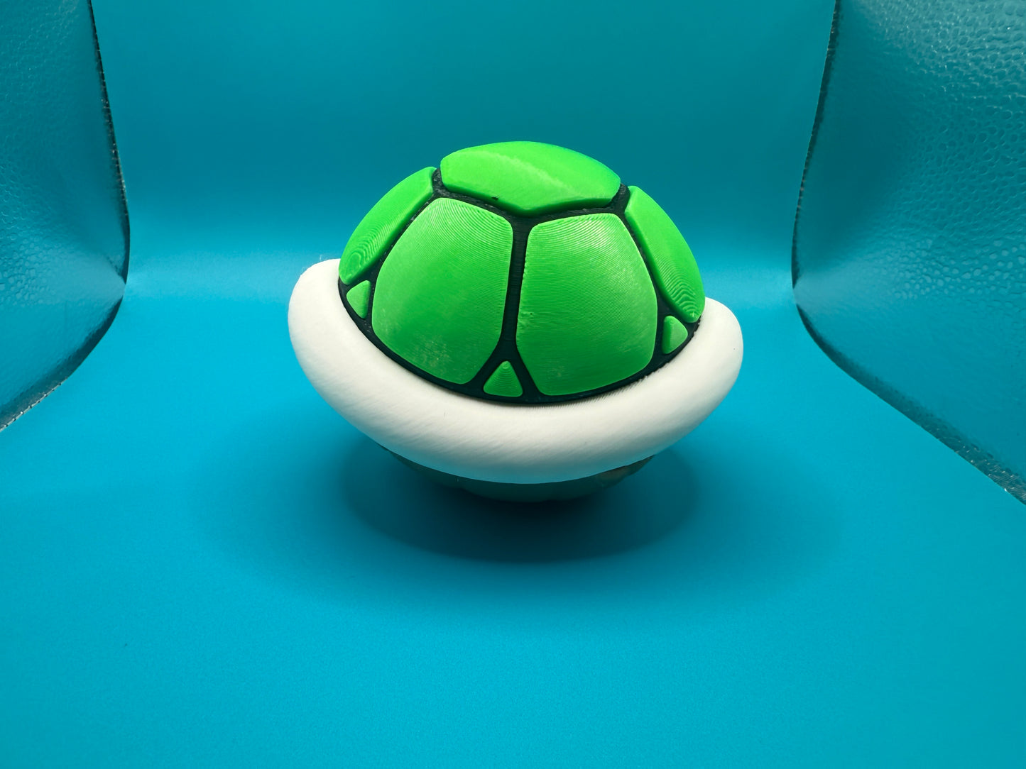 Green turtle shell