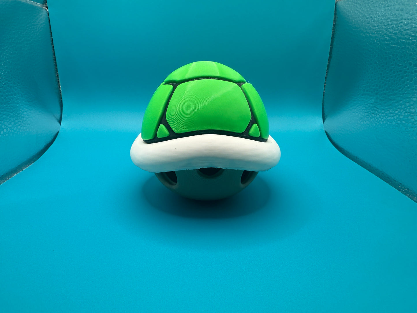 Green turtle shell
