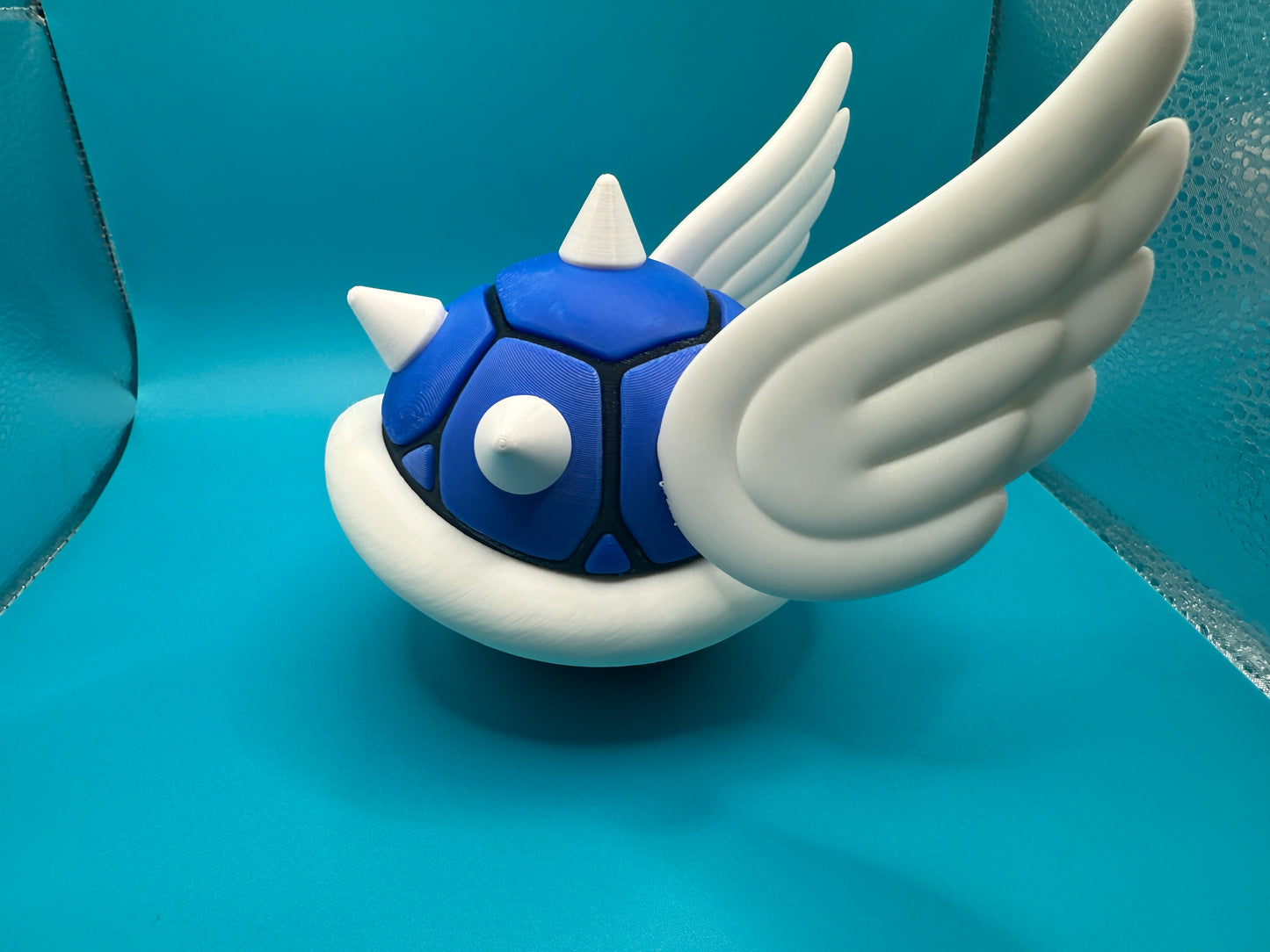 Blue Spiky Wing Shell